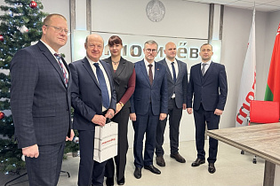 Оценка эффективности реализации проекта ЮНИДО в Могилевской области  - Фото 1