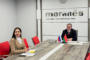В администрации СЭЗ «Могилёв» прошла онлайн‑встреча с коллегами из Агентства экономического развития Ленинградской области - Фото 1