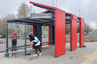 Субботник в СЭЗ «Могилёв»: порядок на благоустроенной территории - Фото 3