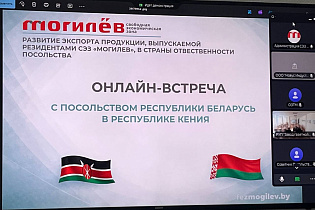В администрации СЭЗ «Могилев» прошла онлайн-встреча с Посольством Республики Беларусь в Республике Кения по вопросам развития экспорта продукции, выпускаемой резидентами СЭЗ «Могилев» и предприятиями  Могилевской области в страны ответственности посольств - Фото 1