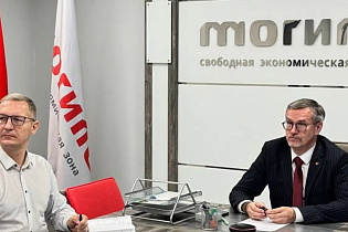 Состоялась онлайн-конференция по вопросам развития белорусско-турецкого сотрудничества в сфере мебельной индустрии - Фото 1